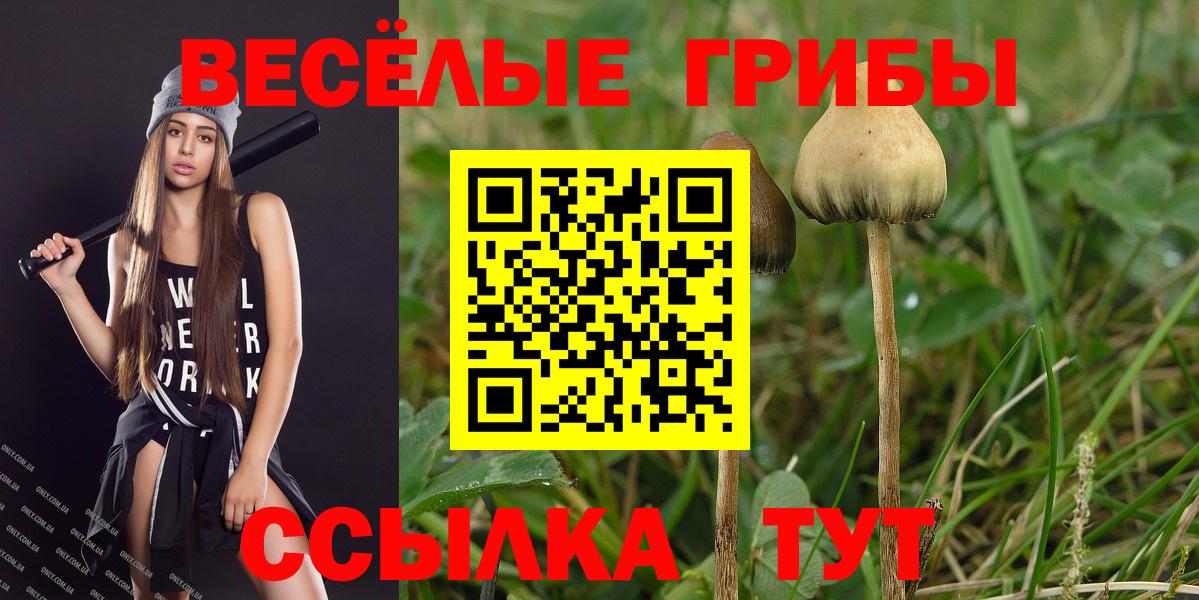 Саров  Галлюциногенные грибы GOLDEN TEACHER  Вход с VPN  Галлюциногенные грибы MAGIC MUSHROOMS 